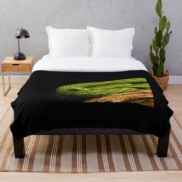 Item preview, Serpiente Mamba verde enrollada sobre fondo negro designed and sold by KbytesOfJax Outdoor and Nature.