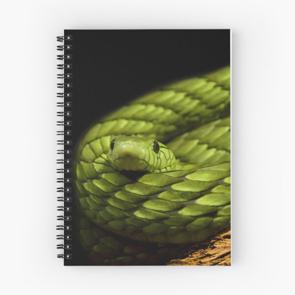 Item preview, Green Mamba Snake Coiled on Black Background designed and sold by KbytesOfJax Outdoor and Nature.
