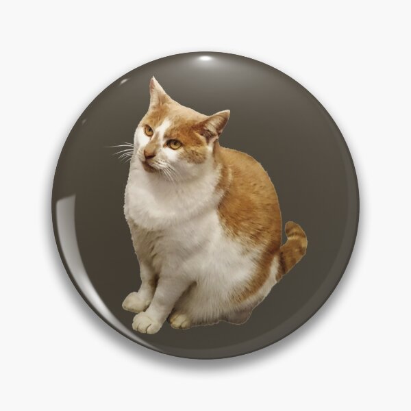 Item preview, Orange and White Short Haired Cat designed and sold by Susan Savad.