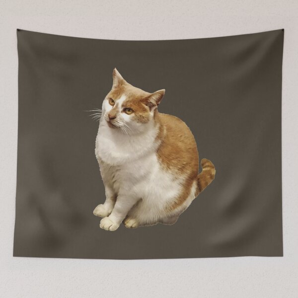 Item preview, Orange and White Short Haired Cat designed and sold by Susan Savad.