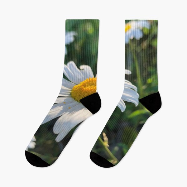 Item preview, Daisy Flower Photography designed and sold by Celiina.