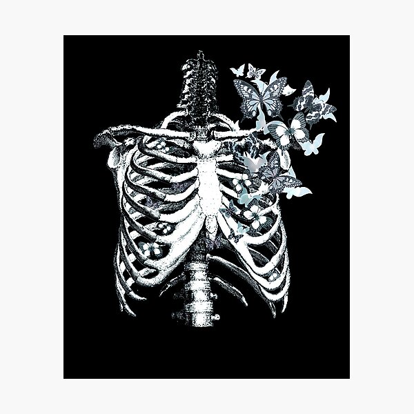 Anatomy, ribcage, rib cage, butterflies Photographic Print