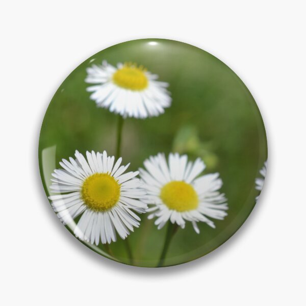 Item preview, Daisy Fleabane designed and sold by jstxrm.