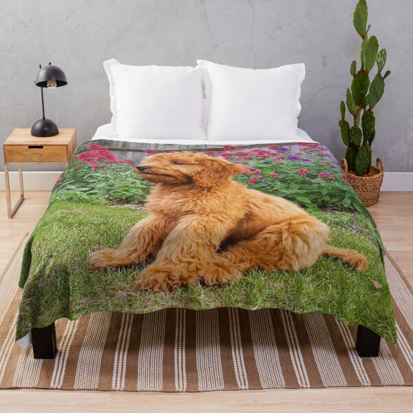 Item preview, Red Cockapoo Puppy designed and sold by Worldofcolour.