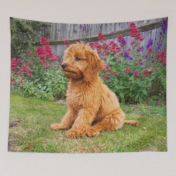 Item preview, Red Cockapoo Puppy designed and sold by Worldofcolour.
