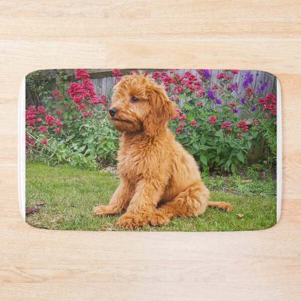 Item preview, Red Cockapoo Puppy designed and sold by Worldofcolour.