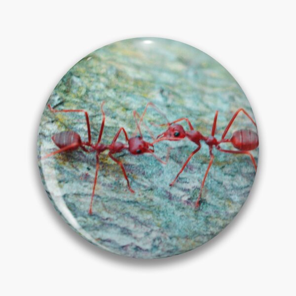 Item preview, Red ant love couple Poster  designed and sold by ZengoClub.