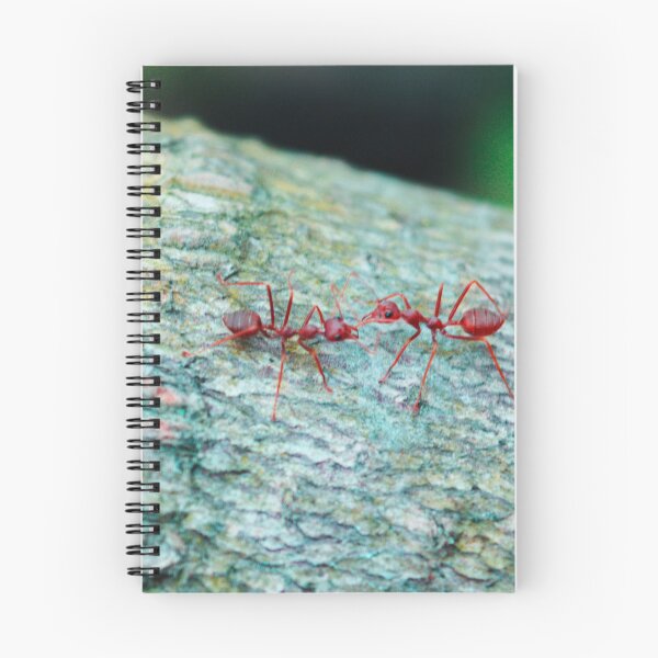 Item preview, Red ant love couple Poster  designed and sold by ZengoClub.