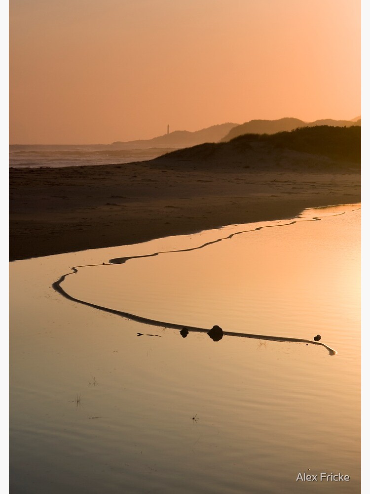 View of the Great Serpent, Looking Towards Point Hicks. by alfricke