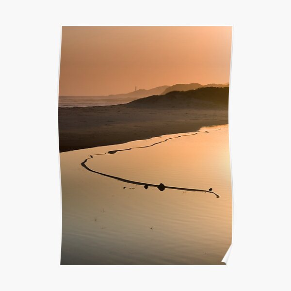 View of the Great Serpent, Looking Towards Point Hicks. Poster