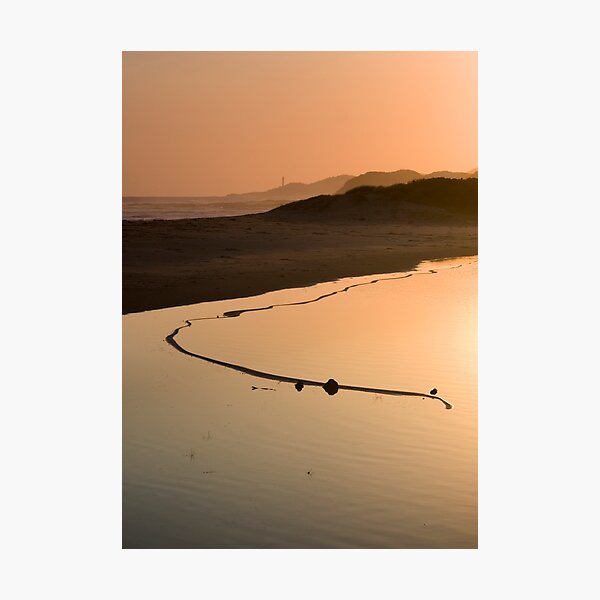 View of the Great Serpent, Looking Towards Point Hicks. Photographic Print
