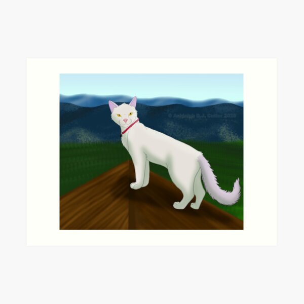 Avra Upon a Roof Art Print