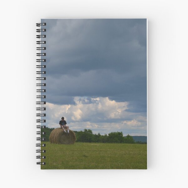 Item preview, Hay Bale designed and sold by jstxrm.