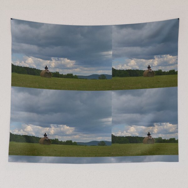 Item preview, Hay Bale designed and sold by jstxrm.