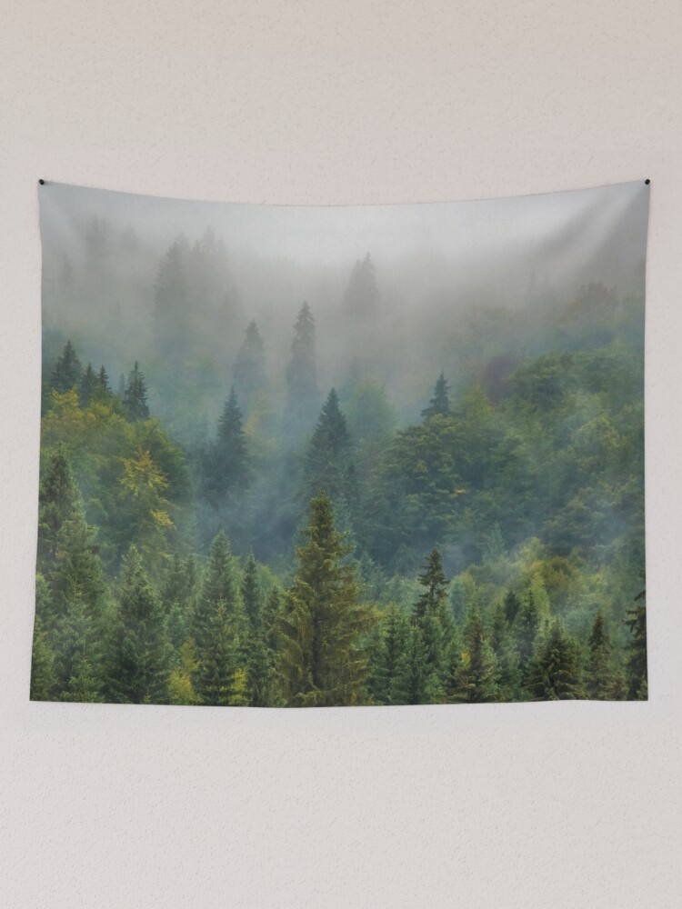 Foggy 2024 forest tapestry