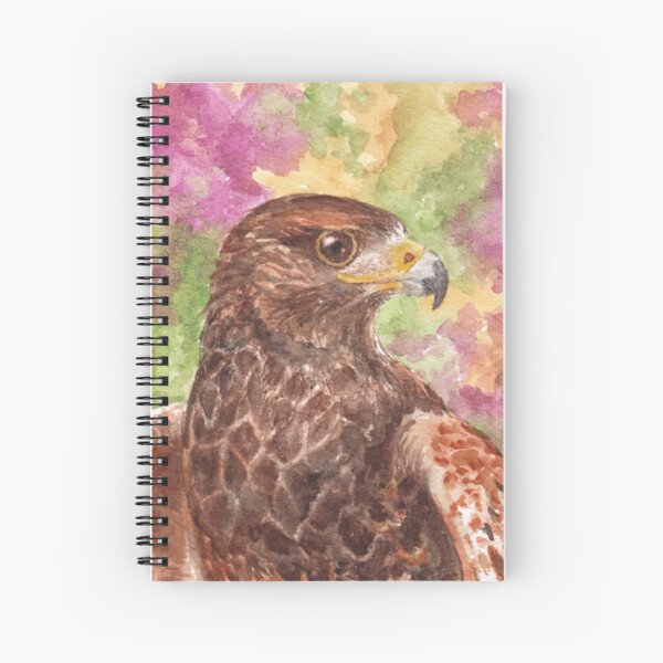 Harris Hawk, Sonoran Desert Spiral Notebook