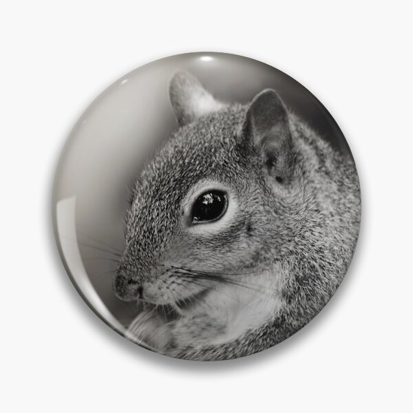 Item preview, Desaturated Squirrel Closeup  designed and sold by KbytesOfJax Outdoor and Nature.