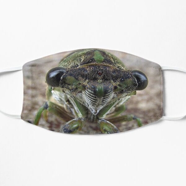 Cicada face Mask