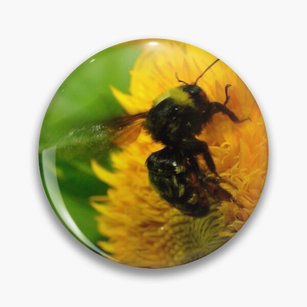 Item preview, Sunny Yum on a Sunny Day, Yummy! designed and sold by michaelasamples.