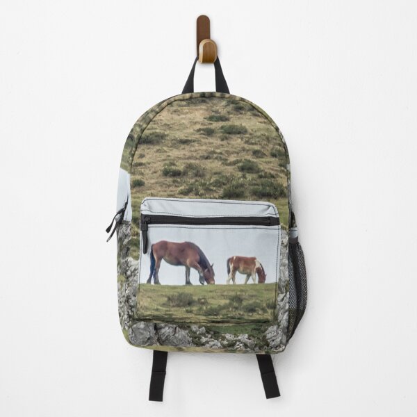 Item preview, Asturcon,   Asturian pony designed and sold by Svetlana Korneliuk.