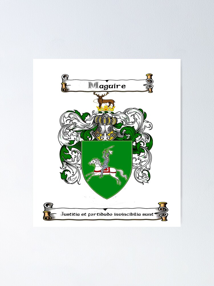 Irish Coat of Arms Mugs - (Set of 2 mugs) 