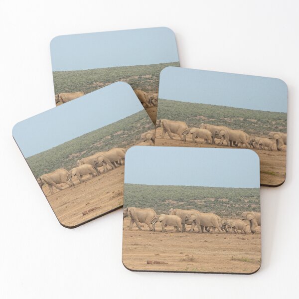 Item preview, African elephants in a row in South Africa designed and sold by Photopat.