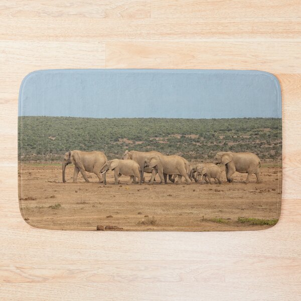 Item preview, African elephants in a row in South Africa designed and sold by Photopat.