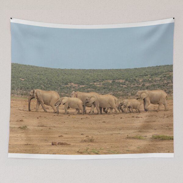 Item preview, African elephants in a row in South Africa designed and sold by Photopat.