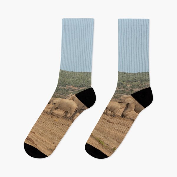 Item preview, African elephants in a row in South Africa designed and sold by Photopat.