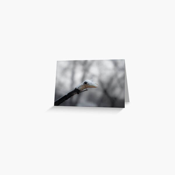 Year of the Snake Greeting Card