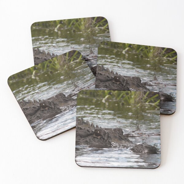 Item preview, Swamp Gator Gliding designed and sold by KbytesOfJax Outdoor and Nature.