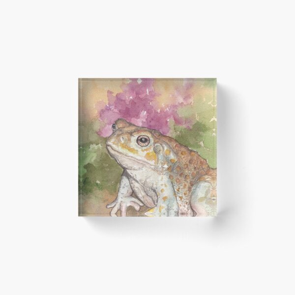 Item preview, Sonoran Desert Toad designed and sold by tracyannholmes.