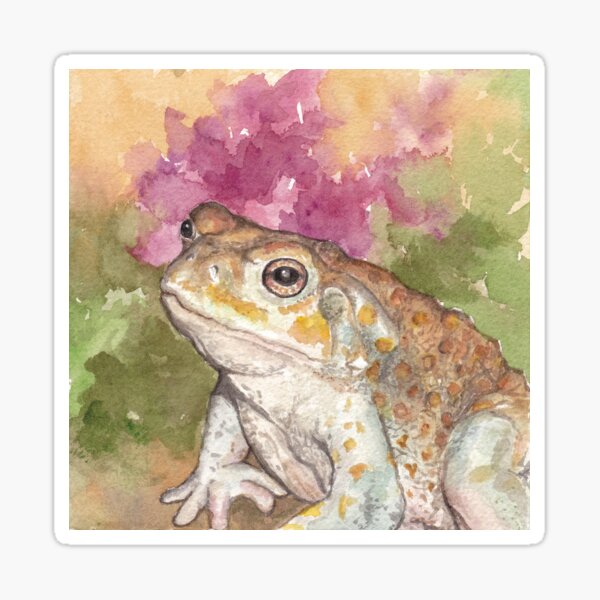 Sonoran Desert Toad Sticker