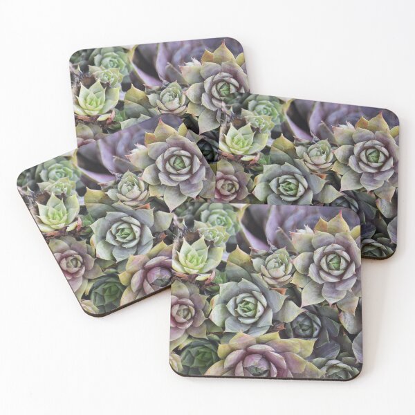Item preview, Watercolor Succulent Plant designed and sold by artbybri7.