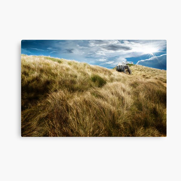 Item preview, Coastal grasses designed and sold by Adriano Carrideo.