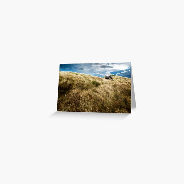 Item preview, Coastal grasses designed and sold by Adriano Carrideo.