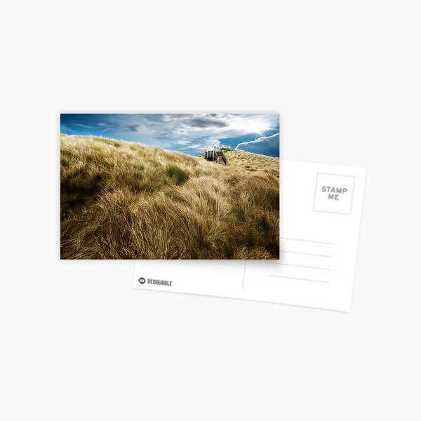 Item preview, Coastal grasses designed and sold by Adriano Carrideo.
