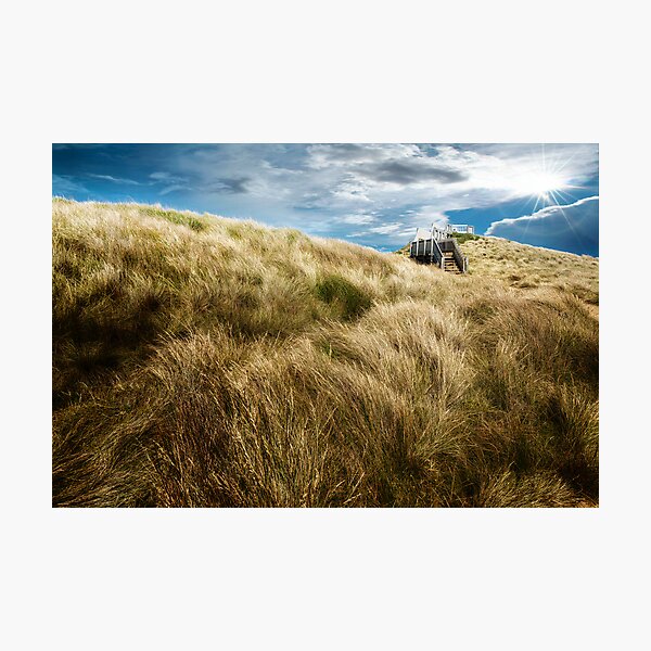 Item preview, Coastal grasses designed and sold by Adriano Carrideo.