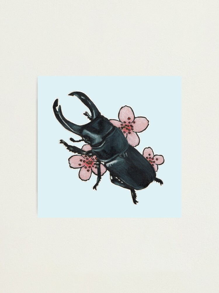 Stag Beetle Photographic Print for Sale by Minibeasts
