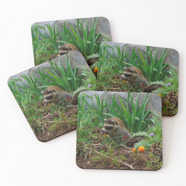 Item preview, Wild Animals Raccoon designed and sold by RiffXS.