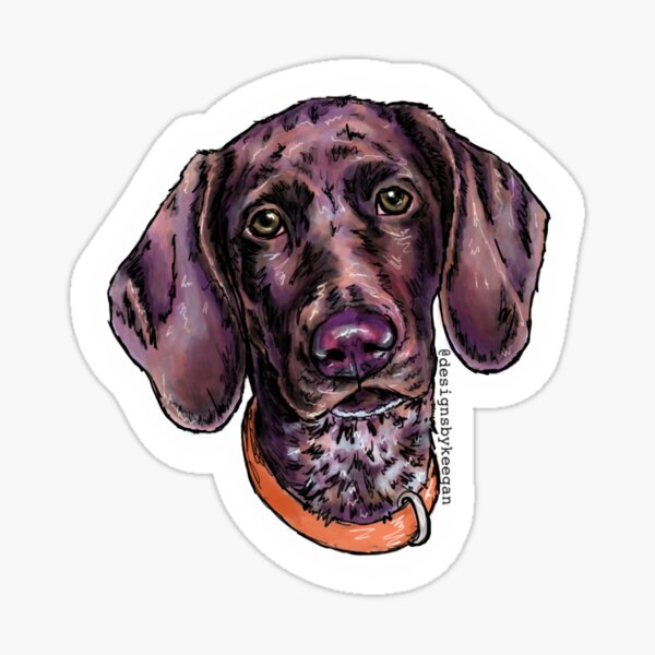 German Shorthaired Pointer Sticker
