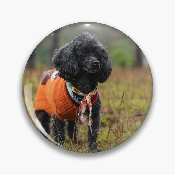 Item preview, Suburban poodles designed and sold by KensLensDesigns.