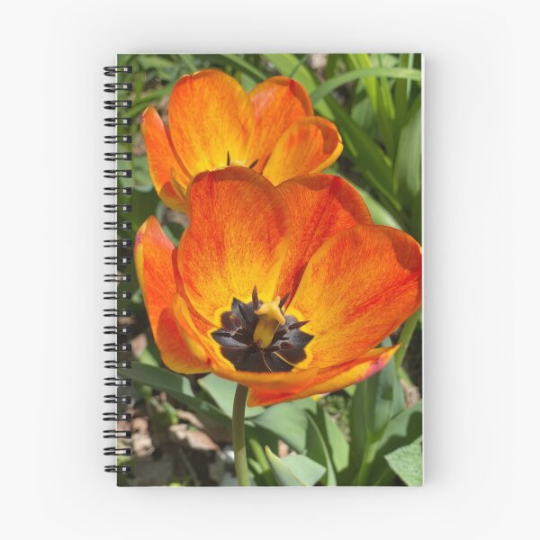 Item preview, Tulips designed and sold by Stephanie Miller of Victorious Artworks.