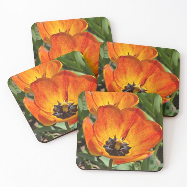 Artikelvorschau, Tulpen entworfen und verkauft von Stephanie Miller of Victorious Artworks.