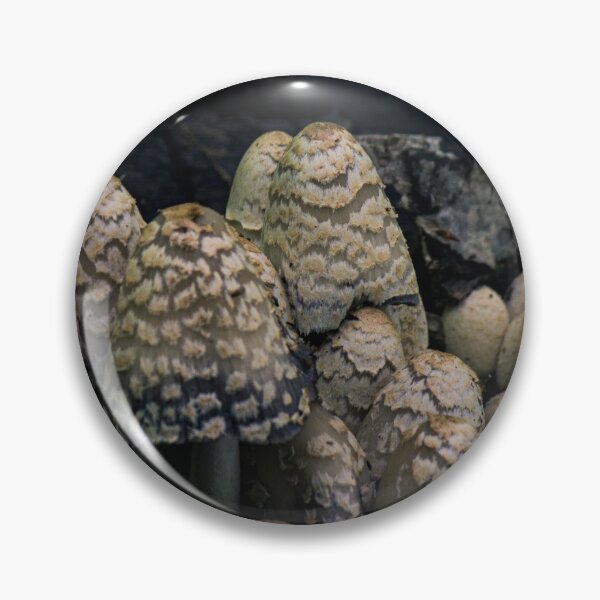 Item preview, Mushroom Forest designed and sold by c-zphotos.