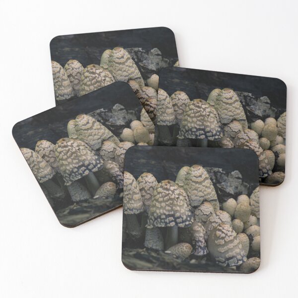 Item preview, Mushroom Forest designed and sold by c-zphotos.