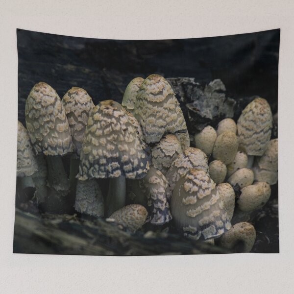 Item preview, Mushroom Forest designed and sold by c-zphotos.