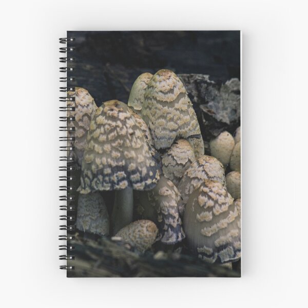 Item preview, Mushroom Forest designed and sold by c-zphotos.