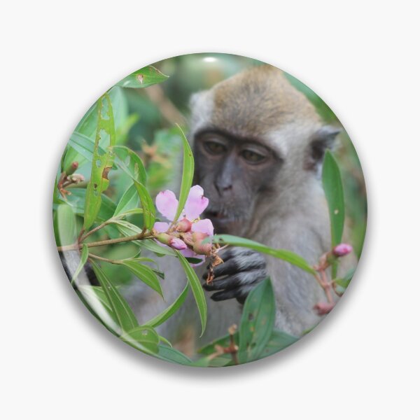 Item preview, Monkey Admiring Nature designed and sold by Duckgirl5450.