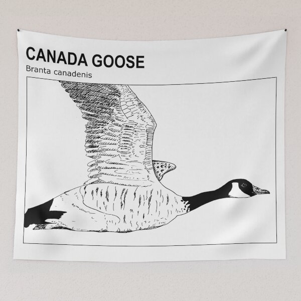 Item preview, Canada goose (english version) - Sketch designed and sold by TheLostBreton.